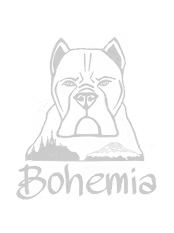 Bohemia Cane Corso